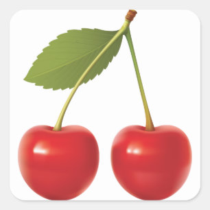 CUADRADA CHERRIES ON STEM PEGATINA