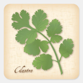 Cuadrada Cilantro Herb Square Pegatina