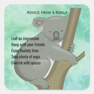 Cuadrada Consejo de un Pegatina de diseño de Koala
