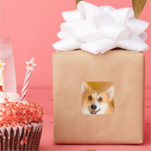 Cuadrada Corgi Face Square Pegatina