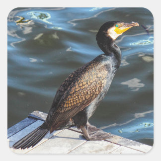 Cuadrada Cormorant Square Pegatina