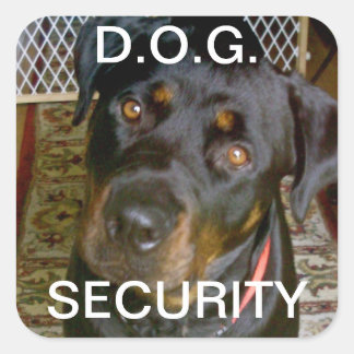 Cuadrada D.O.G. Pegatina DE SEGURIDAD (rottweiler)