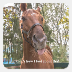 Cuadrada Divertido caballo sacando Pegatina de fotos de len