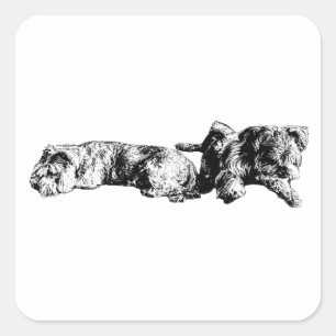 Cuadrada Dos Schnauzers – Pegatina de perro negro y blanco