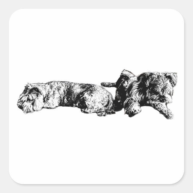Cuadrada Dos Schnauzers – Pegatina de perro negro y blanco (Anverso)