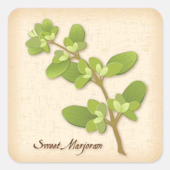 Cuadrada Dulce Marjoram Herb Square Pegatina (Anverso)