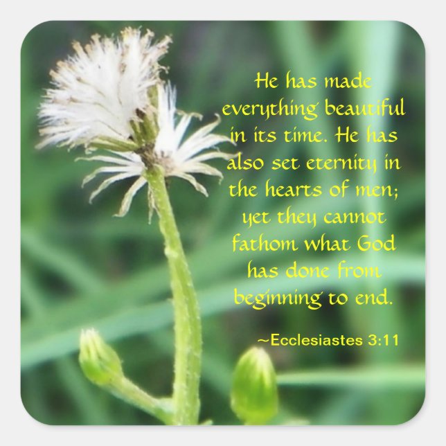 Cuadrada Ecclesiastes 3:11 pegatina (Anverso)