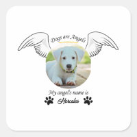 El perro es un pegatina de ángeles