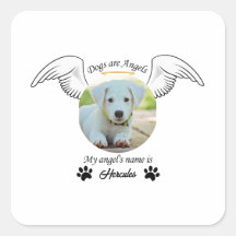 El perro es un pegatina de ángeles