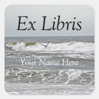 Cuadrada Ex Libris - Pegatina de Surf y Gull
