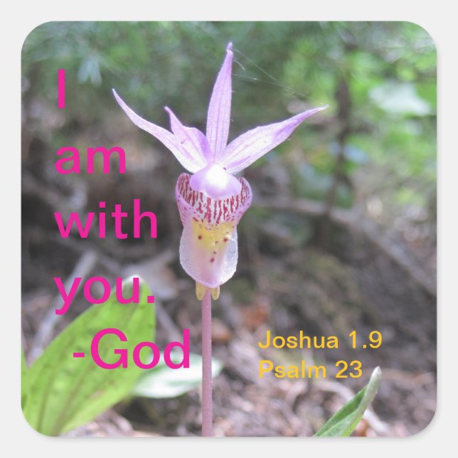 Cuadrada Fairyslipper Orchid Flower Square Pegatina (Anverso)