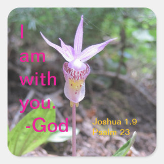 Cuadrada Fairyslipper Orchid Flower Square Pegatina