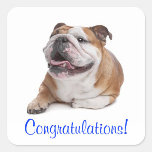 Cuadrada Felicidades Feliz Pegatina de cachorro de perro Bu