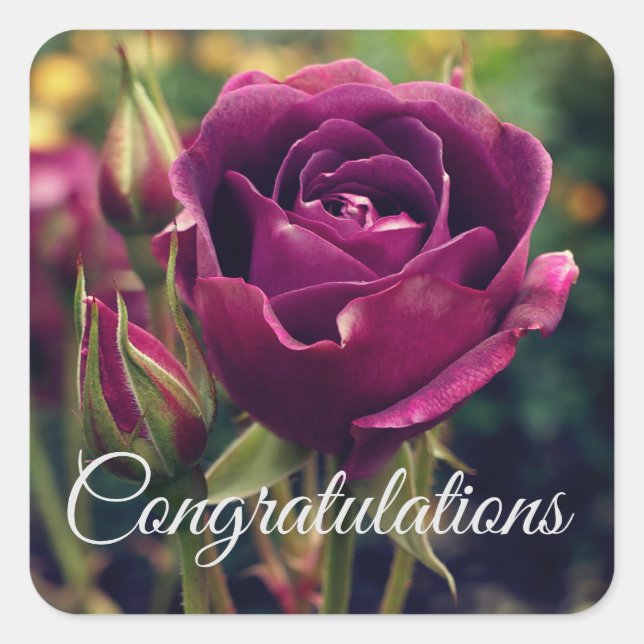 Cuadrada Felicitaciones Rosa de Borgoña Iceberg #1 Pegatina (Anverso)