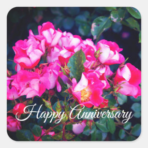 Cuadrada Feliz aniversario Carefree Spirit Rosa #1 Pegatina