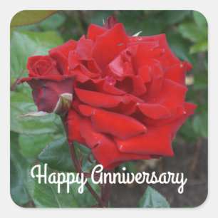 Cuadrada Feliz aniversario Crimson Bouquet Rosa #2 Pegatina
