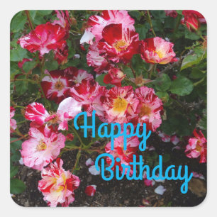 Cuadrada Feliz cumpleaños, cuatro de julio Rosa #1 Pegatina