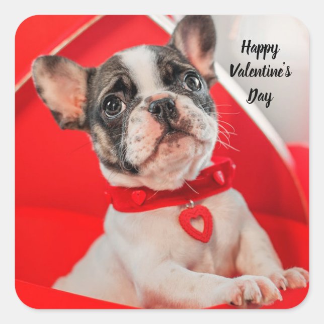 Cuadrada Feliz Pegatina de Bulldog francés de San Valentín (Anverso)