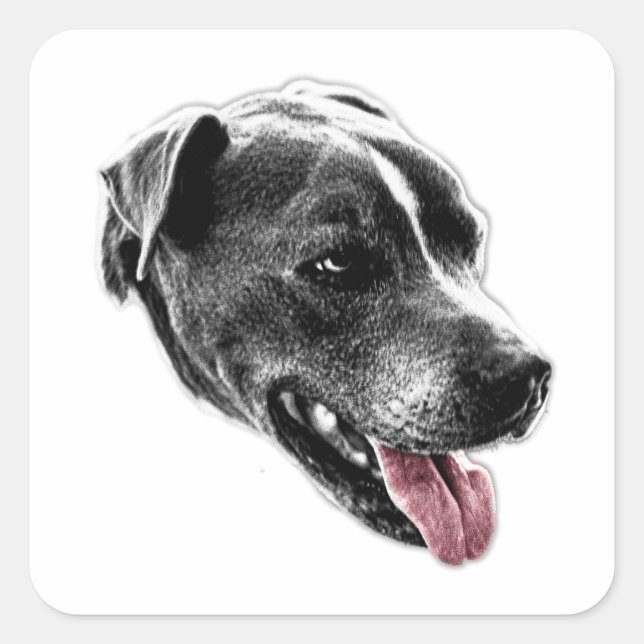 Cuadrada Feliz Pitbull mix Pegatina de arte de lengua roja (Anverso)