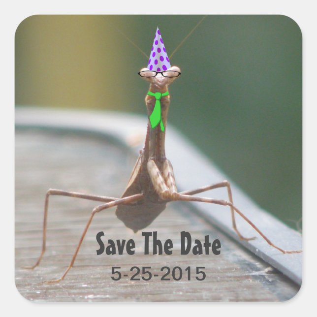 Cuadrada Fiesta Pegatina de fallos (Anverso)