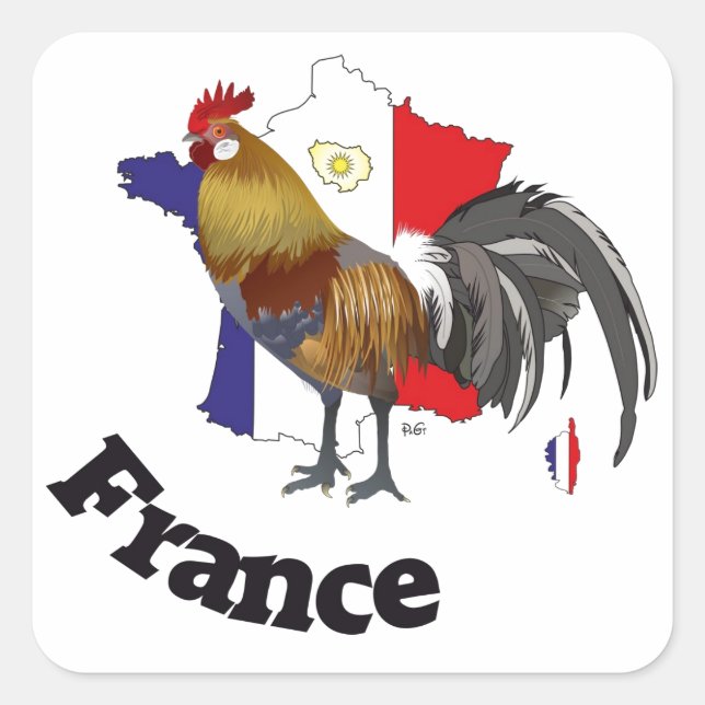 Cuadrada Francia France cía de fra pegatina (Anverso)