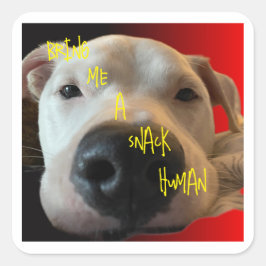 CUADRADA FUNNY DOG PEGATINA
