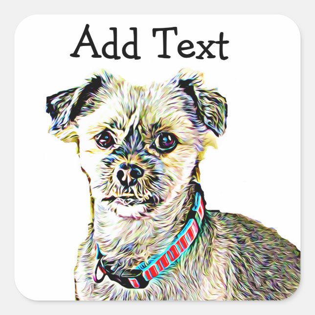 Cuadrada Funny Lhaso Apso o Shitzu Pegatina de perro person (Anverso)