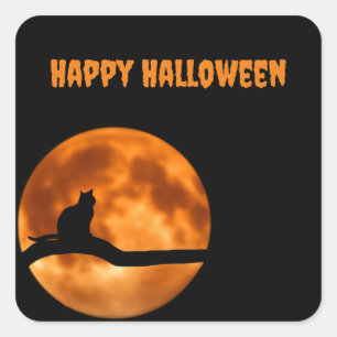 Cuadrada Gato negro bajo Naranja Moon Pegatina