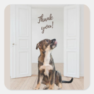 Cuadrada Gracias Pegatina De Cachorros