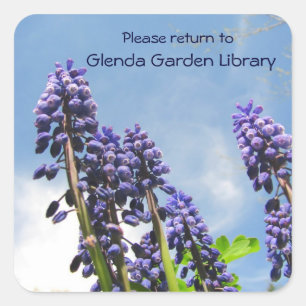 Cuadrada Grape Hyacinths Bookplate ~ pegatina