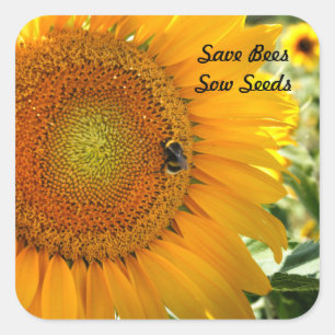 Cuadrada Guardar abejas - Pegatina Sow Seeds