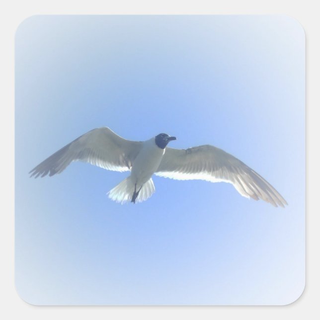 Cuadrada Gull en el vuelo 2 Pegatina (Anverso)