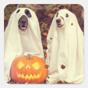 CUADRADA HALLOWEEN PERROS COMO PEGATINA DE LA PLAZA DE LOS