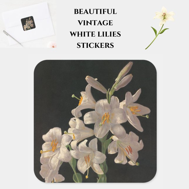 Cuadrada Hermoso Pegatina de Leiles de Pascua Blanca (Beautiful stickers for cards or crafts, at Easter or yearround.)