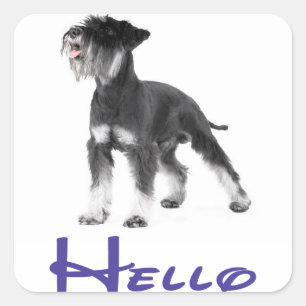Cuadrada Hola cachorro de Schnauzer miniatura Pegatina