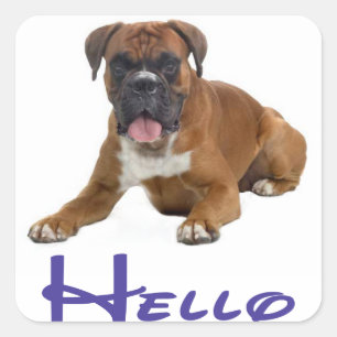 Cuadrada Hola / Hola Pegatina de saludo de perro cachorro B