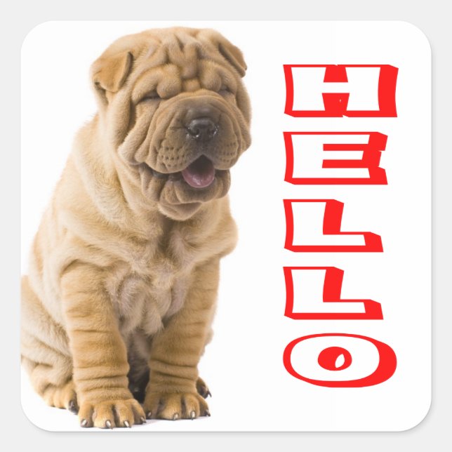 Cuadrada Hola Shar Pei Pegatina de Perro Cachorro Cachorro  (Anverso)