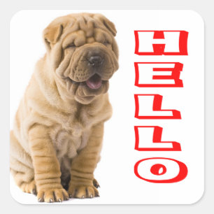 Cuadrada Hola Shar Pei Pegatina de Perro Cachorro Cachorro
