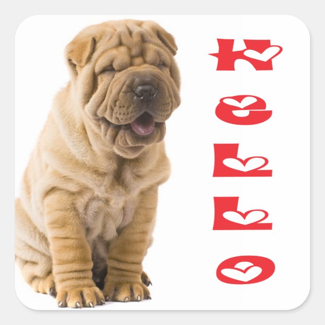 Cuadrada Hola Shar Pei Pegatina de Perro Cachorro Cachorro  (Anverso)