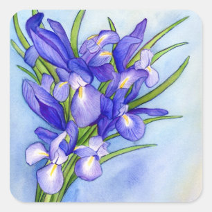 Cuadrada Iris Bouquet Pegatina de pintura de flores