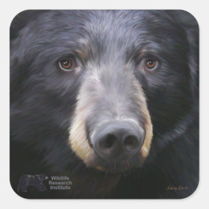 Cuadrada Junio por Nancy Liu - pegatina