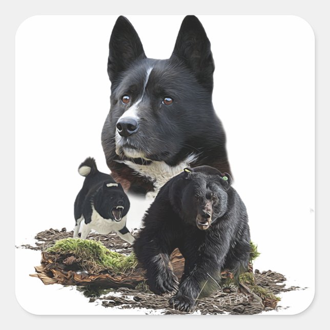 Cuadrada Karelian Bear Dog Pegatina (Anverso)