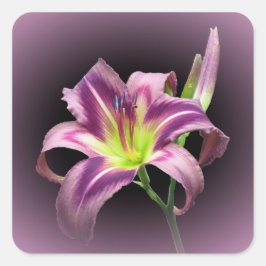 Cuadrada La búsqueda de Starman - Pegatina de la plaza diur