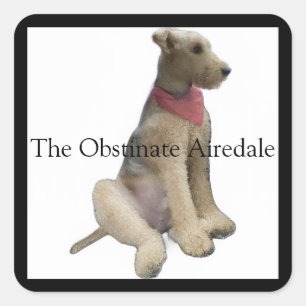 Cuadrada La pegatina del airedale obstinado