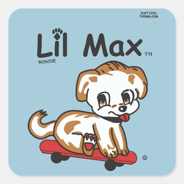 Cuadrada Lil Max Pegatina (Anverso)