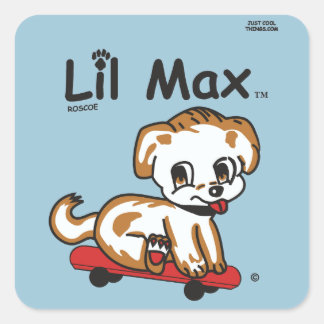 Cuadrada Lil Max Pegatina