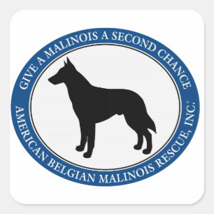Cuadrada Logotipo de rescate de Malinois, Pegatina cuadrado