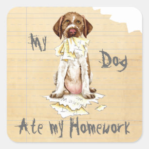 Cuadrada Mi Pegatina GWP Ate My Homework Square