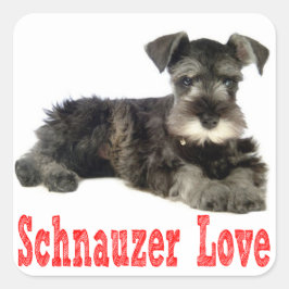 Cuadrada Ministra Schnauzer Puppy Dog Love Red Pegatina