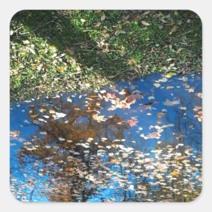 Cuadrada Miroir Mirror Pegatina del Día de Acción de Gracia
